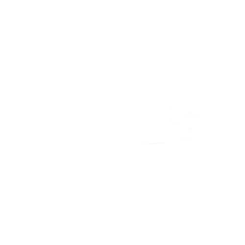 GMS Consultoria
